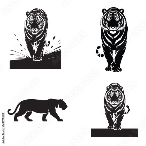 Vector illustration of a wild tiger head with a tribal tattoo design, perfect for a powerful animal logo or mascot