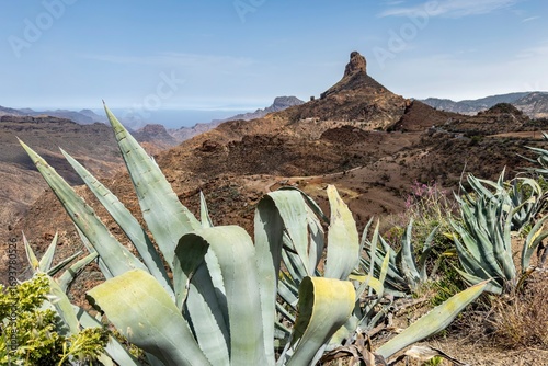 gran canaria, spain, on the move in the mountains