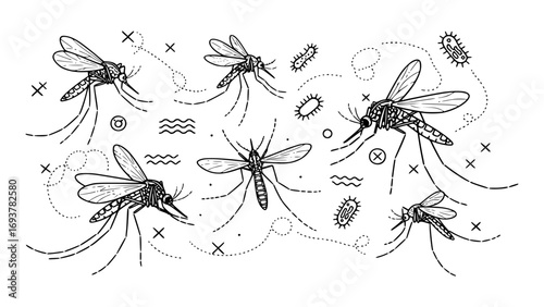 Handdrawn illustration of mosquitoes and bacteria in flight, conveying disease transmission