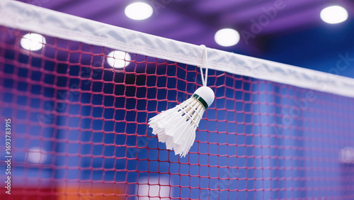 badminton racket and shuttlecock