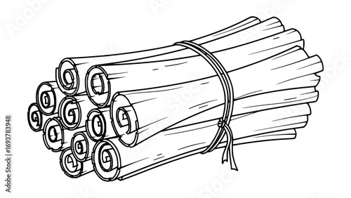 Bundle of rolled paper scrolls tied with a string