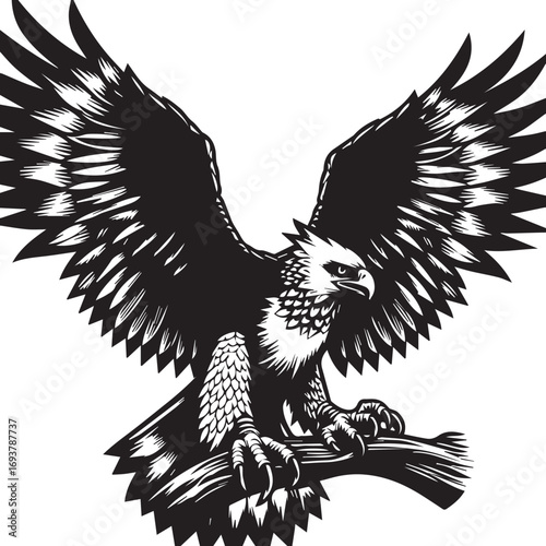 Harpy Eagle Vector in black and White