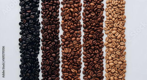Five distinct vertical rows of roasted coffee beans showcasing a beautiful gradient of roast levels from light to dark.
