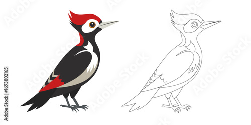 Woodpecker cartoon bird in two styles — colorful and outline version. Vector illustration of forest woodpecker isolated on white background. Perfect for children’s books, design, and print.