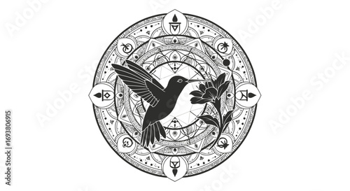 Vector art of mystical hummingbird mandala a symbolic design blending nature and spirituality