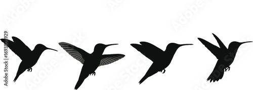 Vector art of set of hummingbird silhouette flying, vector illustration of a bird with long beak and wings in black