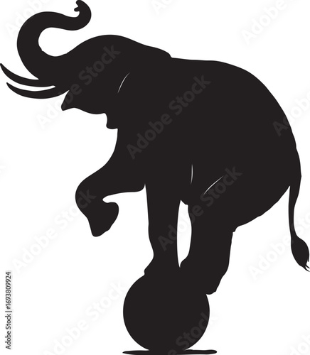 Silhouette of an elephant balancing on a ball in a circus performance