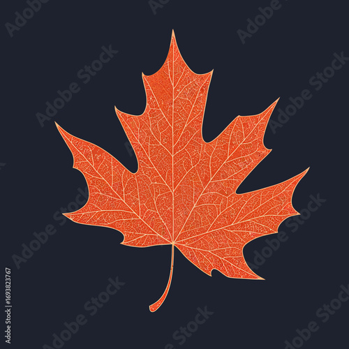 Detailed orange autumn maple leaf with intricate vein pattern on dark background flat vector illustration nature symbol of fall season and foliage texture design