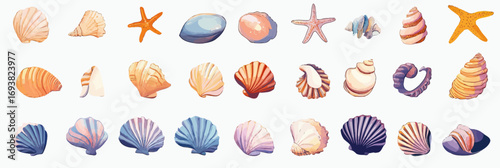 Colorful cartoon sea shell collection with various shapes and starfish marine ocean beach illustration flat style vector design