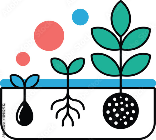 Visualize plant growth stages from seed to mature plant in hydroponic system
