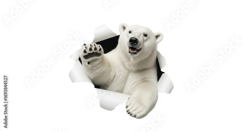Playful polar bear bursting through paper, a whimsical peek into arctic wildlife adventure concept