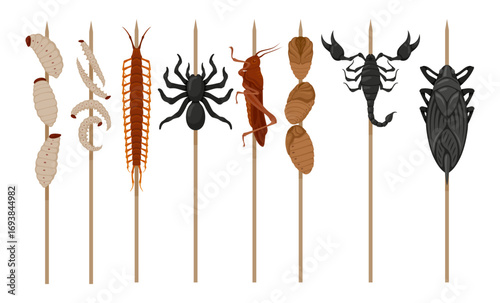 A collection of edible bugs displayed on wooden skewers showcases various types, emphasizing their potential as sustainable protein sources in diverse cuisines around the world.