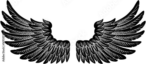 A pair of angel, eagle or pegasus feather wings illustration in an etched or engraving woodcut style