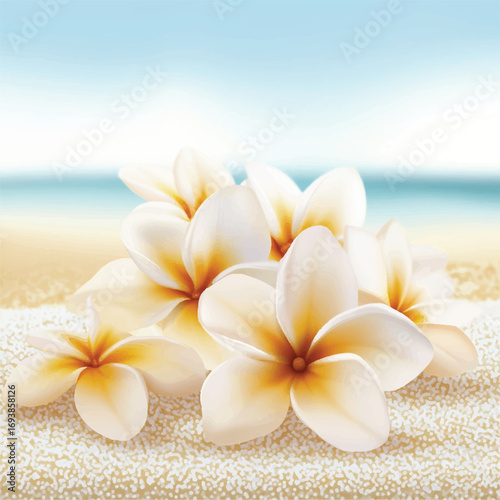 Beautiful white plumeria flowers on a sandy beach.