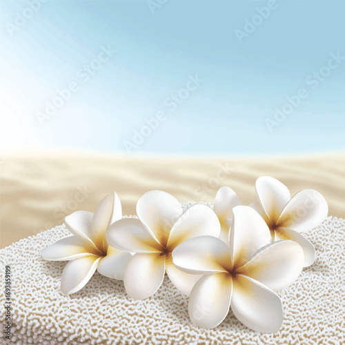 Close up of beautiful white frangipani flowers with yellow centers.