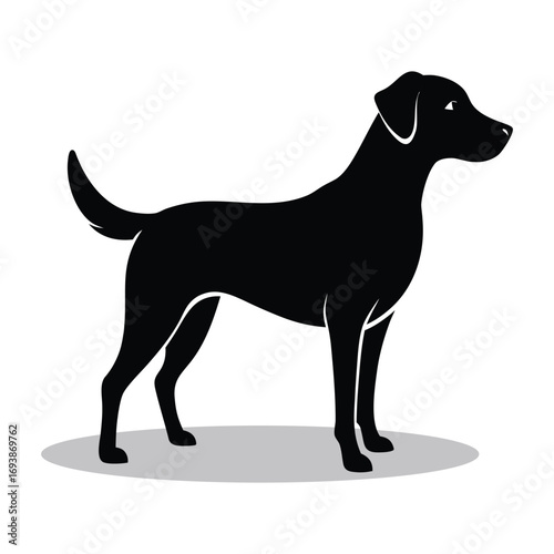 A sleek black labrador retriever dog standing in profile silhouette against a clean white background with a subtle shadow beneath its paws
