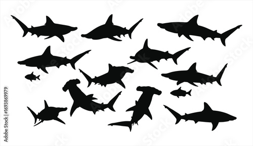 Black shark silhouettes group swimming underwater, hammerhead sharks and ocean predators vector art illustration
