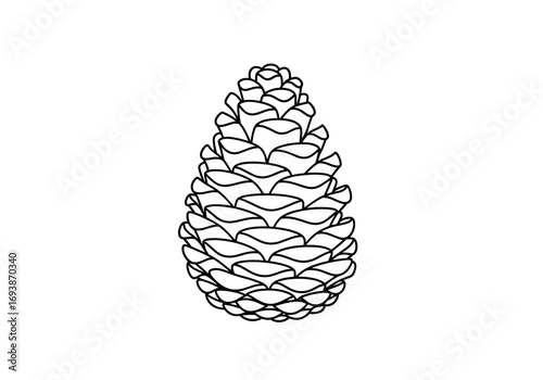Detailed illustration of a pine cone revealing its intricate scale pattern and natural botanical beauty