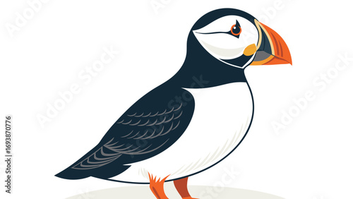 Colorful Cartoon Illustration of a Puffin Bird.