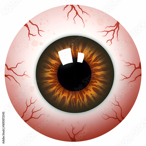 Red and Brown Human Eye