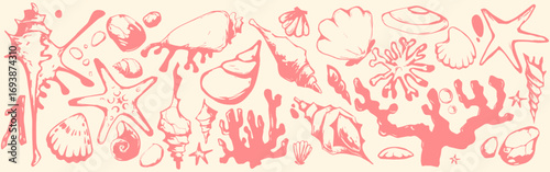 Coastal boho shell illustration with marine elements - red seashells, starfish, coral and ocean algae on white bg. Hand drawn beach collection for nautical designs or seaside decorative artwork.