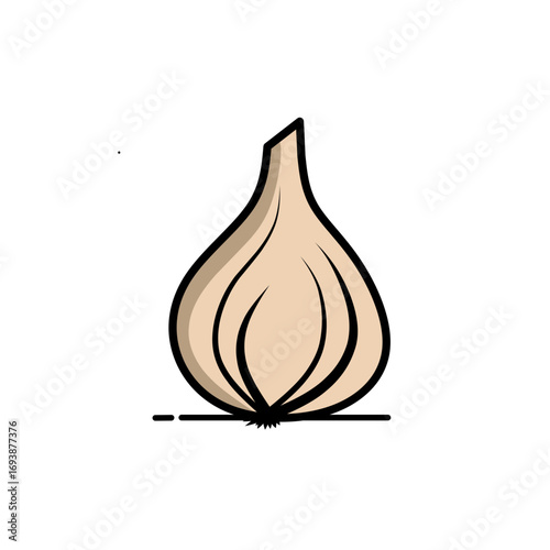 onion vector illustration