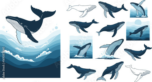 Humpback whale vector illustrations, ocean animal clipart, marine wildlife, whale jumping, swimming whales in waves and sea