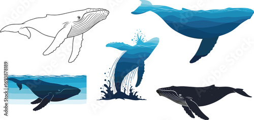 Humpback whale illustrations, ocean vector animals, marine wildlife clipart, whales underwater, breaching, swimming, water scene