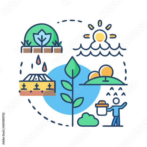 Illustrated Life Cycle of a Plant with Water Sun and Soil for Growth