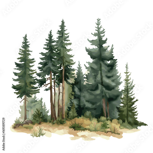Black Forest. Black Forest watercolor vector illustration