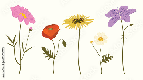 Flower elements vector set. Collection colorful floral of wildflower, leaf branch, foliage on beige background. Hand drawn blossom illustration for decor, easter, thanksgiving, clipart.
