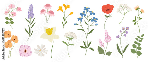 Cute flower elements vector set. Collection colorful floral of wildflower, leaf branch, foliage on white background. Hand drawn blossom illustration for decor, easter, thanksgiving, clipart.
