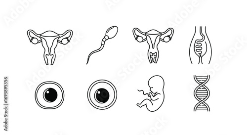 Human reproduction icons: uterus, sperm, egg, embryo, DNA, and fallopian tubes.