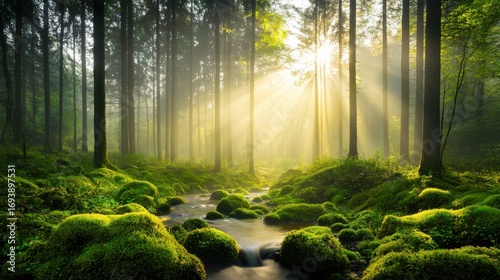 Stream flowing through a misty forest with sunbeams shining through the trees illuminating the landscape