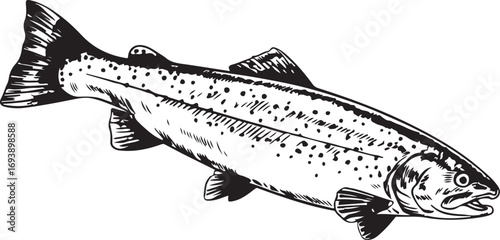 Vintage Fish engraving outline vector art illustration design, Fish silhouette, hand drawn, line art fish design