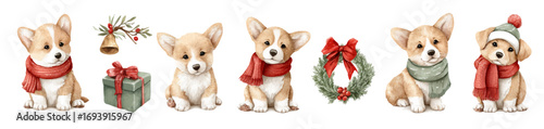Collection of Vector illustrations. Cute Christmas corgi puppies with scarf, hat, gift, wreath, pine and bell in watercolor style. Holiday dog clipart set. Perfect for invitation, card, poster, banner