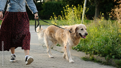 Wallpaper Mural Female Dog Owner Walks Adorable Golden Retriever At Sunset On A Street During Daily Routine Torontodigital.ca