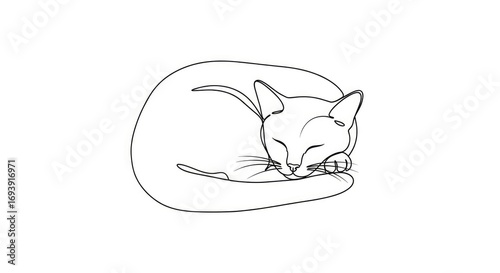 A line drawing of a cat sleeping curled up on a plain white background with closed eyes whiskers and its paws tucked