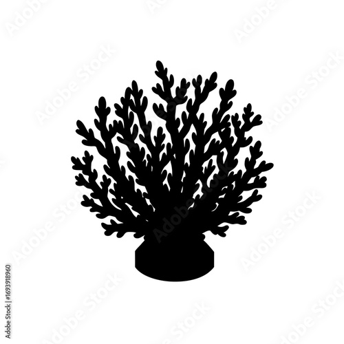 Silhouette of coral on stand on transparent background