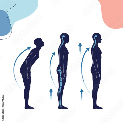 Understanding the importance of good posture for spinal health and overall well being