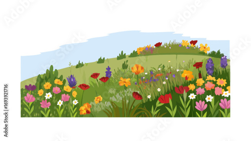 Beautiful spring meadow landscape illustration with colorful flowers and green hill view