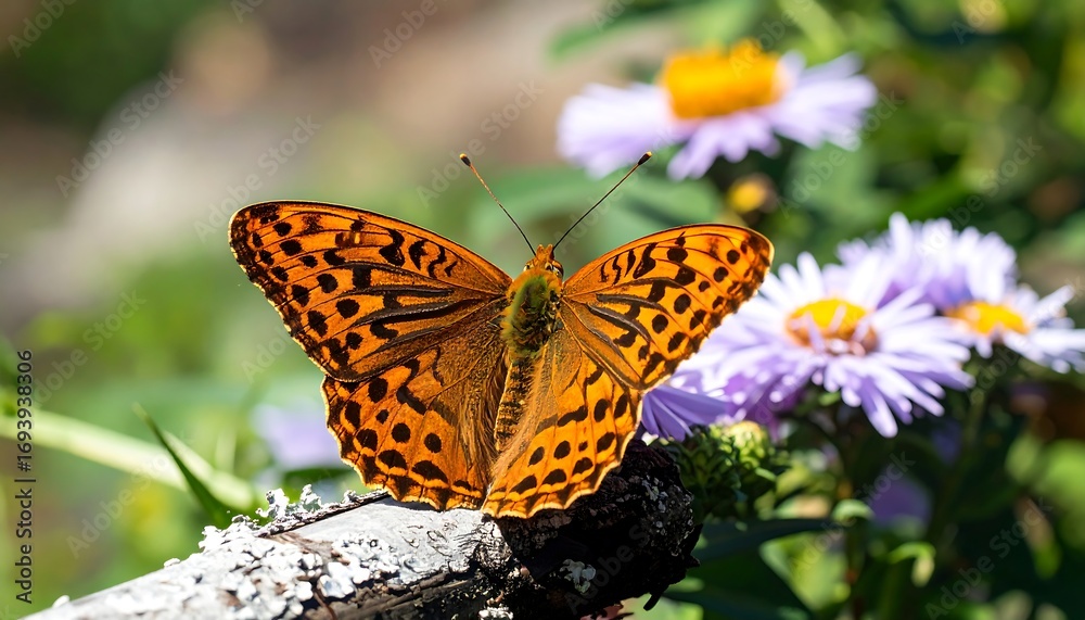 Obraz premium Butterfly on branch