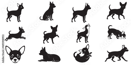 Chihuahua Dog Silhouette Vector – Small Dog Breed  Standing, Sitting, Running, Walking,Jumping,Lying Down, Howling, Head Only and more poses