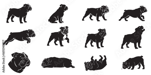 English Bulldog Silhouette Vector – Standing, Sitting, Running, Walking,Jumping,Lying Down, Howling, Head Only and more poses