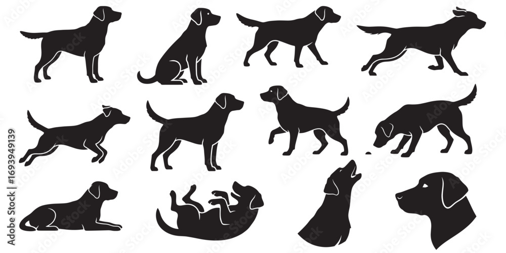 Obraz premium Labrador Retriever Dog Silhouette Vector – Standing, Sitting, Running, Walking,Jumping,Lying Down, Howling, Head Only and more poses