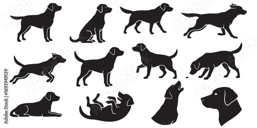 Labrador Retriever Dog Silhouette Vector – Standing, Sitting, Running, Walking,Jumping,Lying Down, Howling, Head Only and more poses