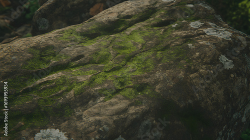 A close-up view of a large, weathered rock formation covered in patches of vibrant green moss and pale lichen.