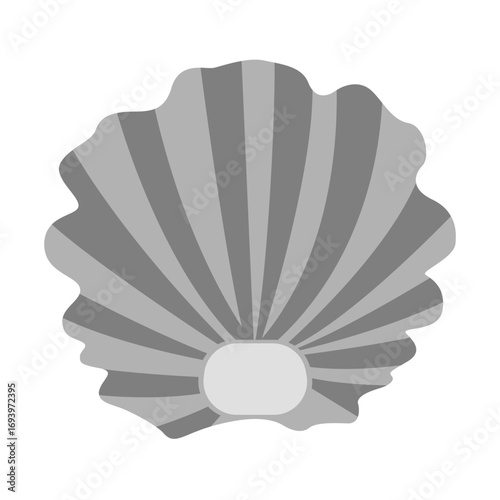 Shell Vector Illustration