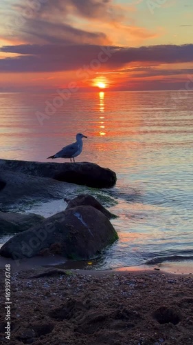Sunset sky reflecting in the Baltic sea, view from the sandy shore in Sweden.