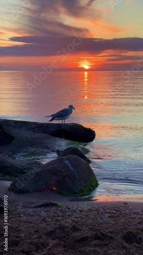 Sunset sky reflecting in the Baltic sea, view from the sandy shore in Sweden.